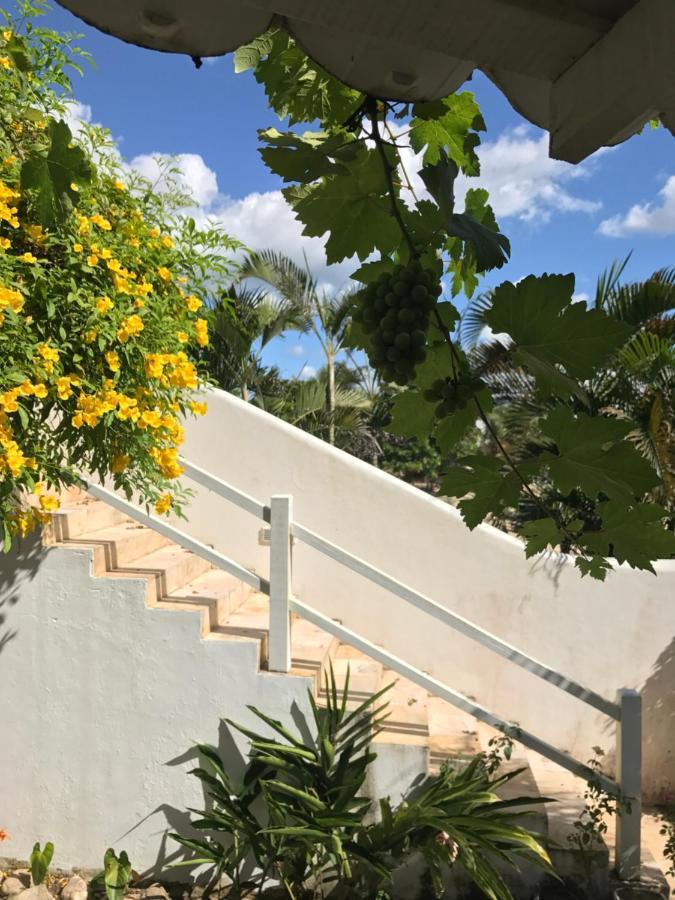 Pousada Papaya Jericoacoara Eksteriør billede