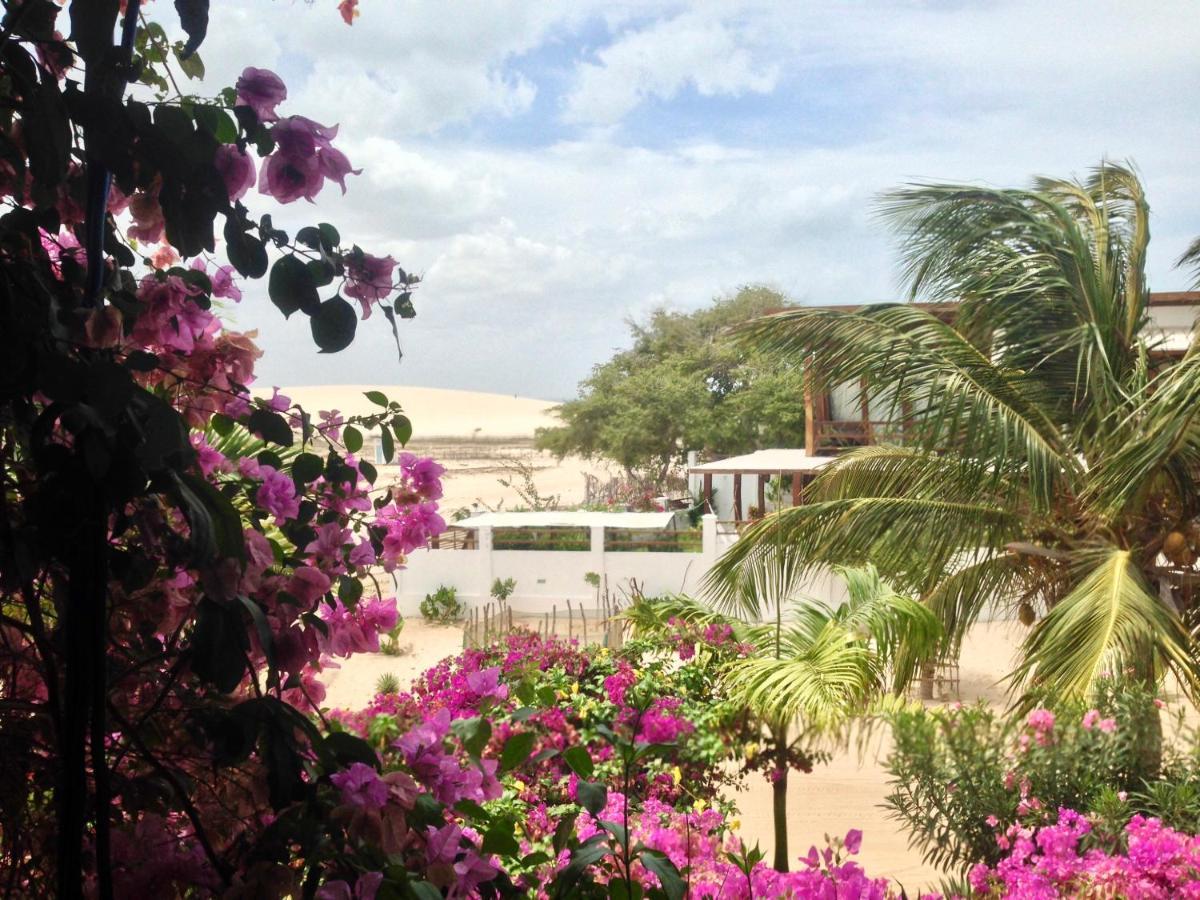Pousada Papaya Jericoacoara Eksteriør billede